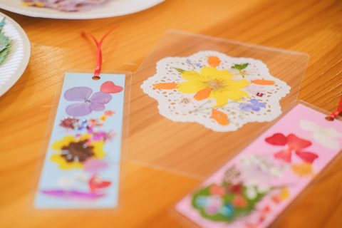 押し花　コースターとしおり